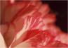 Abstract - 2002