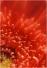 Abstract - 2002