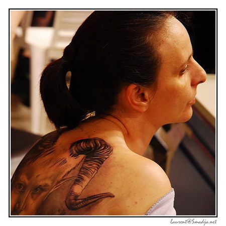 Salon International de Tatouage&nbsp;-&nbsp;Toulouse 2007