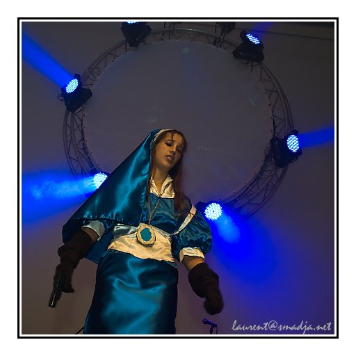 Toulouse Game Show 2008&nbsp;-&nbsp;