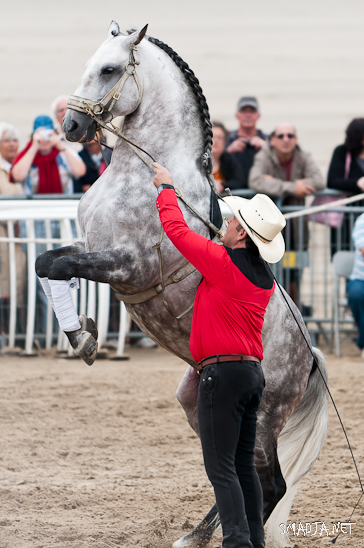 Festival d'Art Equestre - Royan Pontaillac - 17 et 18 Septembre 2011 - Les 20 ans du Festival d'Art Equestre - Royan Pontaillac