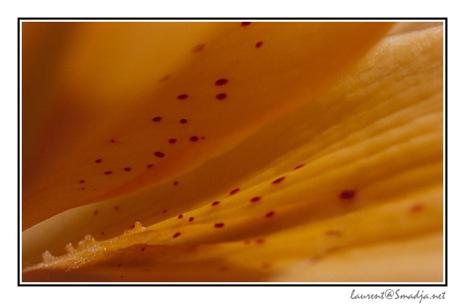 Abstract&nbsp;-&nbsp;2002