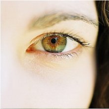 Portrait&nbsp;-&nbsp;gAlly