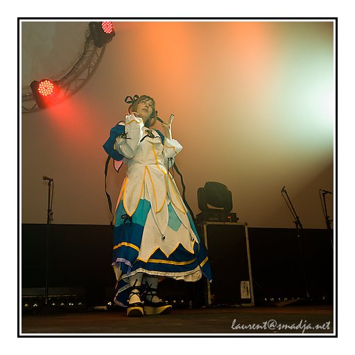 Toulouse Game Show 2008&nbsp;-&nbsp;