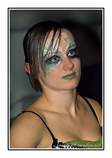 Toulouse Game Show 2008&nbsp;-&nbsp;