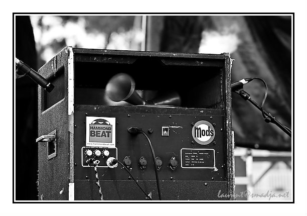 Crescendo 2008 - 10e Festival de Rock Progressif&nbsp;-&nbsp;Wicked Minds