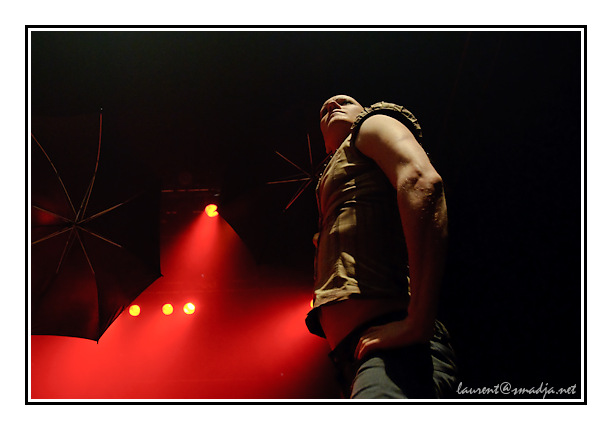 Amanda Palmer  & The Danger Ensemble&nbsp;-&nbsp;www.myspace.com/whokilledamandapalmer