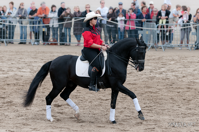 Festival d'Art Equestre - Royan Pontaillac - 17 et 18 Septembre 2011&nbsp;-&nbsp;Les 20 ans du Festival d'Art Equestre - Royan Pontaillac