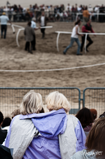 Festival d'Art Equestre - Royan Pontaillac - 17 et 18 Septembre 2011&nbsp;-&nbsp;Les 20 ans du Festival d'Art Equestre - Royan Pontaillac